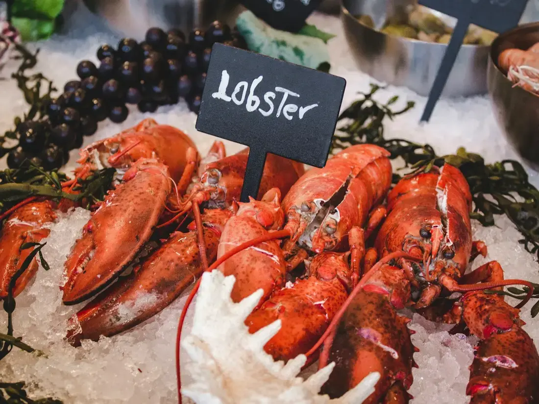Homard Bleu au Beurre Blanc – Maison Lumière